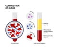 Vector diagram of blood composition